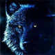 Wolfchild's Avatar