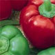 Peppers