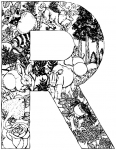 R