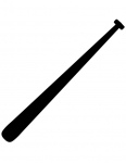 a baseball bat
