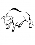 a bull