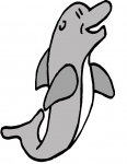 a dolphin