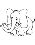 an elephant