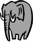 an elephant