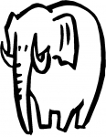 an elephant