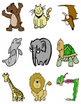 Flashcard Set - Animals