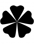 a flower