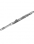 a flute