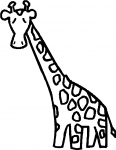 a giraffe