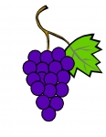 grapes