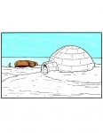 an igloo