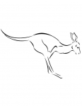 a kangaroo