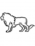 a lion