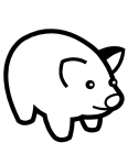 a pig