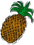 a pineapple