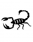 a scorpion