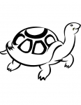 a turtle