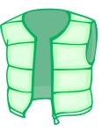 a vest
